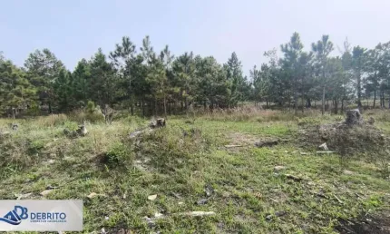 Terreno à venda no Nova Tramandaí, Tramandaí 