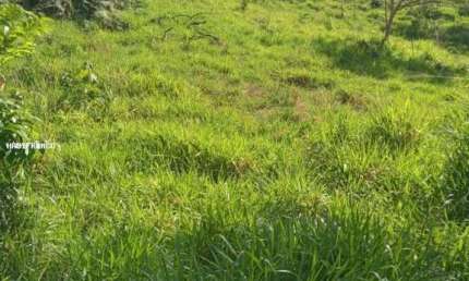 Fazenda à venda na Avenida Goiás, Centro, São Félix do Xingu