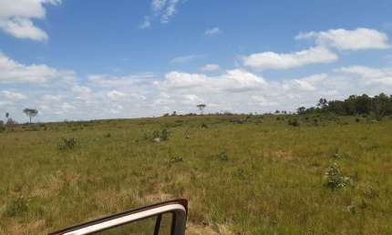Fazenda para Venda em Redenção, Alto Paraná, 2 dormitórios, 1 banheiro, 19 vagas