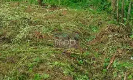 Terreno à venda na Rua Geferson Ferreira da Silva, 00, Soledade, Aracaju