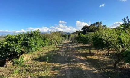 Excelente terreno ideal para um sítio de lazer ou para cultivo de plantas ou hortaliças, obtendo uma área total de 150.000,00 m². oliveira, tijucas/sc