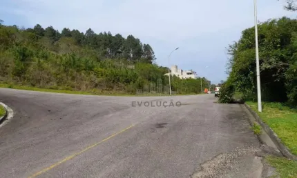 Terreno em condomínio fechado à venda na Rua Francelina Domingos de Jesus, Roçado, São José