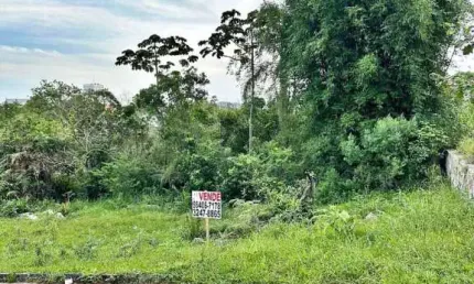 Terreno à venda, 360 m² por r$ 290.000,00 - morro da bina - biguaçu/sc