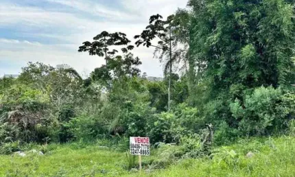 Terreno à venda, 360 m² por r$ 290.000,00 - morro da bina - biguaçu/sc