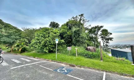 Terreno à venda, 420 m² por R$ 290.000,00 - Morro da Bina - Biguaçu/SC