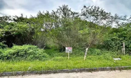 Terreno à venda, 360 m² por R$ 290.000,00 - Morro da Bina - Biguaçu/SC