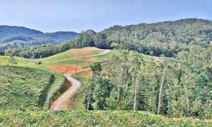 TERRENO 24.217 m² - Barro Branco - São Pedro de Alcântara