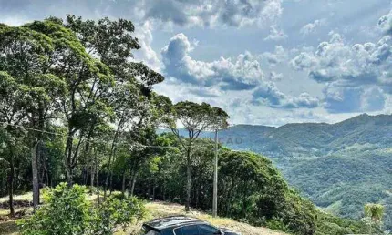 TERRENO 2.500 m², Escritura - Santo Aamaro da Impratriz