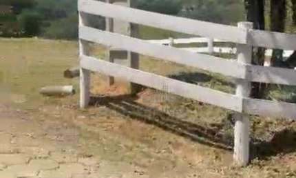 Terreno Rural à venda, 1500 m² Pagará - Santo Amaro da Imperatriz/SC
