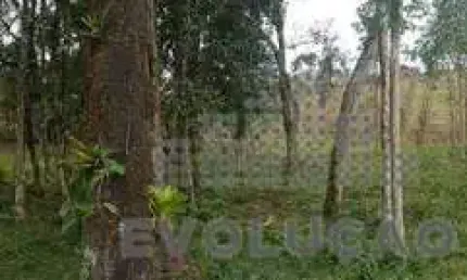 Chácara com 20.000m², selo orgânico em rancho queimado sc