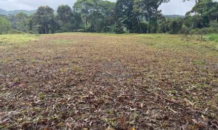 Terreno 4.000m² - Fazenda de Lurdes - Águas Mornas/SC