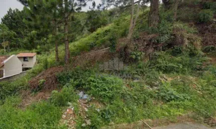 Terreno à venda na Rua Angelin, Potecas, São José