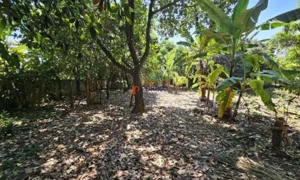Chácara / sítio com 2 quartos à venda na Rua Plínio Nascimento, 270, Nova Veneza, Paulínia