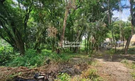 Sítio com 1 dormitório à venda, 42026 m² por R$ 3.500.000,00 - Rio Abaixo - Jacareí/SP