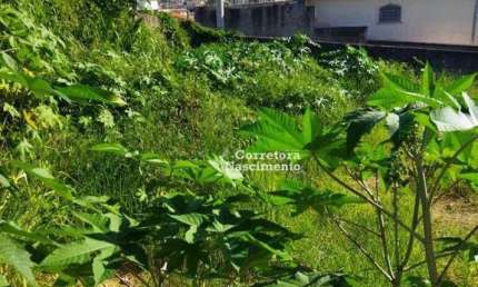 Terreno para alugar, 500 m² por R$ 1.500,00/mês - Jardim das Indústrias - Jacareí/SP