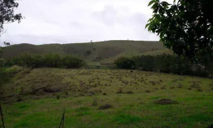 Terreno à venda, 7800 m² por R$ 600.000,00 - Bom Jesus - Jacareí/SP