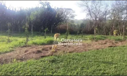 Terreno à venda, 8000 m² por R$ 745.000 - Chácaras Santa Maria - Jacareí/SP