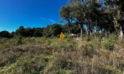 Terreno à venda no bairro Ana Rech - Caxias do Sul/RS