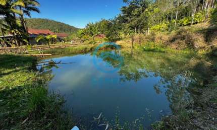 Chácara com Lagoa com Peixes e Terreno de 3.680m² à venda em Tijucas/SC