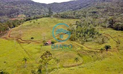 Área Rural para Sítio com Riacho e Terreno de 35 HECTARES à venda em Porto Belo/SC