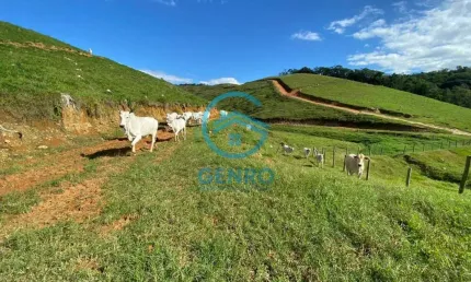 Fazenda Documentada e com Terreno de 103 HECTARES à venda em São João Batista/SC