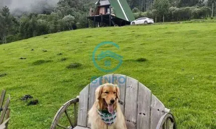 Chalé e uma Cabana com Vista para as Montanhas e Terreno de 45.000m² (4.5 Hectares à venda em Urubici/SC