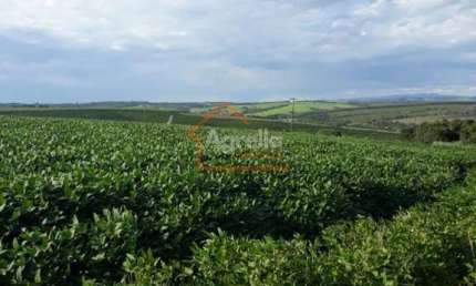 SÍTIO COM 8 ALQUEIRES Á VENDA NO DISTRITO MARTINHO PRADO JUNIOR - MOGI GUAÇU-SP.