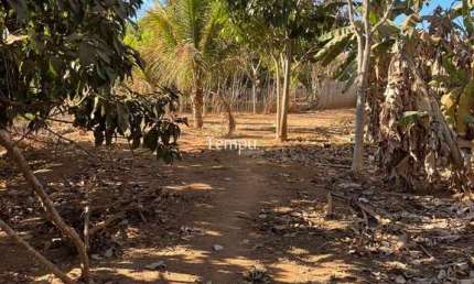 Fazenda à venda no Calixtolândia 2ª Etapa, Anápolis 