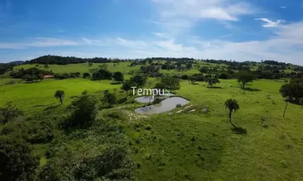 Fazenda 3 alqueires em Anicuns - Excelente para plantio