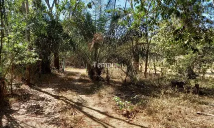 Pesqueiro do Rio Urú - Rancho Rancho em Centro, Heitoraí/GO