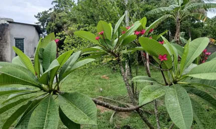Terreno à venda na Rua Governador Valadares, 00, Campo Alegre, Nova Iguaçu