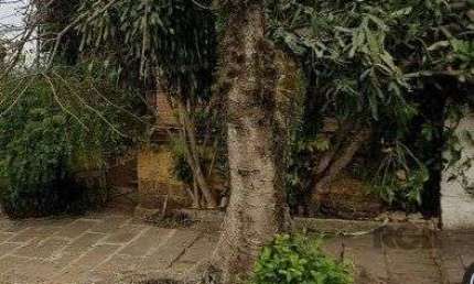 Casa com 2 quartos à venda na Rua Batista Xavier, 458, Partenon, Porto Alegre