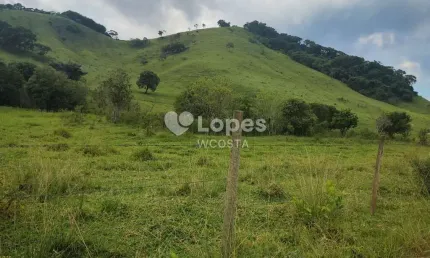 Fazenda à venda no Centro, Cambuí 