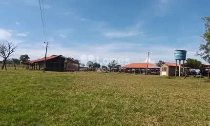 Fazenda à venda no Setor Central, Quirinópolis 