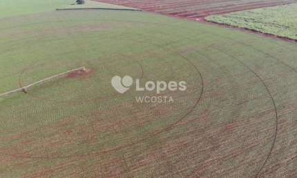 Fazenda à venda no Centro, Conceição das Alagoas 