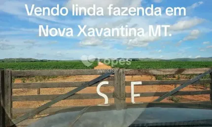 Fazenda à venda no Centro, Nova Xavantina 