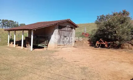 Fazenda à venda no Centro, Bueno Brandão 
