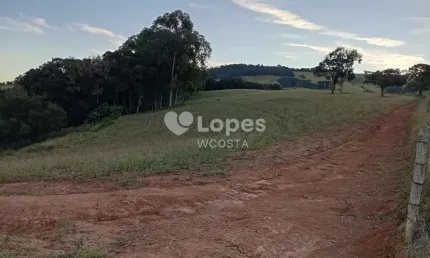 Fazenda à venda no Centro, Bueno Brandão 