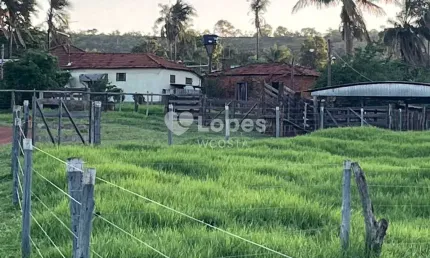 Fazenda à venda no Centro, Frutal 