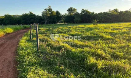 Fazenda à venda no Centro, Frutal 