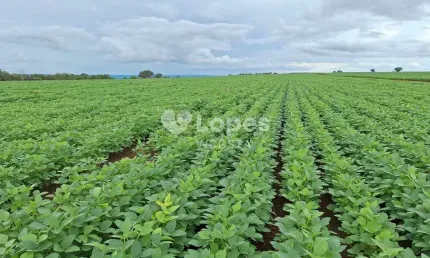 Fazenda à venda no Centro, Gaúcha do Norte 