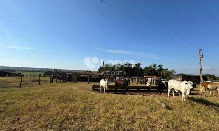Fazenda à venda no Centro, Santa Vitória 
