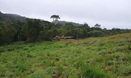 TERRENO/área PARA CHÁCARA - biritiba ussu - 10.000m2 - MOGI DAS CRUZES