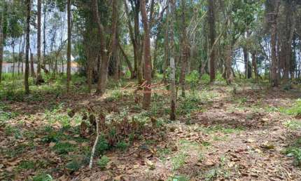 Terreno para Chácara - 1000m2, Rodovia Mogi Bertioga. Vila Moraes - Mogi das Cruzes
