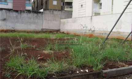Terreno para alugar, 768 m² por R$ 30.000,00/mês - Jardim Botânico - Ribeirão Preto/SP