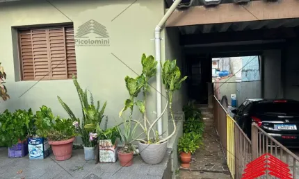 Oportunidade para investidor e construtor. -excelente terreno a venda no jardim avelino -  380m² -  com 8m de frente e 47,50m de profundidade, com 3 c