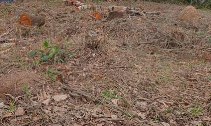 Terreno à venda no Jardim Maracanã, Atibaia 