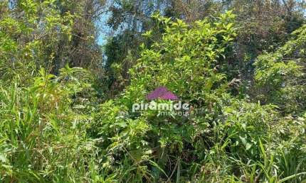 Terreno à venda, 360 m² por R$ 70.000,00 - Balneário dos Golfinhos - Caraguatatuba/SP