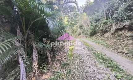 Terreno à venda, 3111 m² por R$ 250.000,00 - Cigarras - São Sebastião/SP