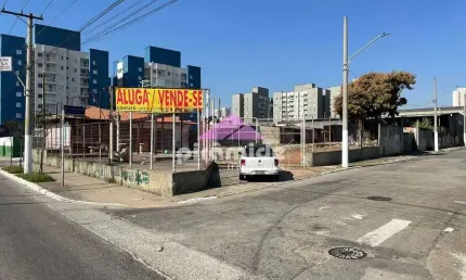 Terreno, 3000 m² - venda por R$ 35.000.000,00 ou aluguel por R$ 40.000,00/mês - Vila Califórnia - S